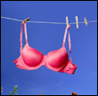 pink bra on clothes line