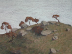 Braidwood Heritage Landscape