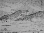 Ancient Land With Cattle